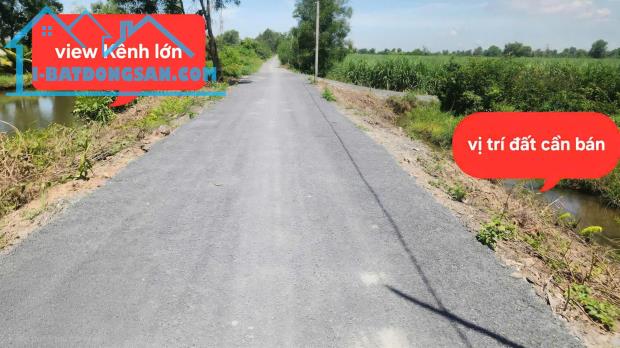 Bất động sản tại Long An - ảnh 1
