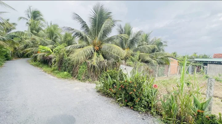 Bất động sản tại Tiền Giang - ảnh 1