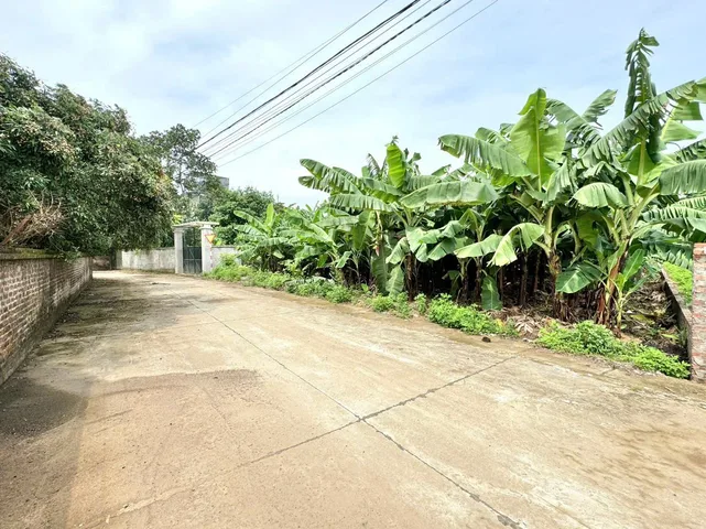 Bất động sản tại Phú Thọ - ảnh 1