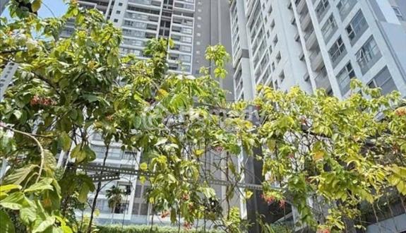 Bất động sản tại Bình Dương - ảnh 1