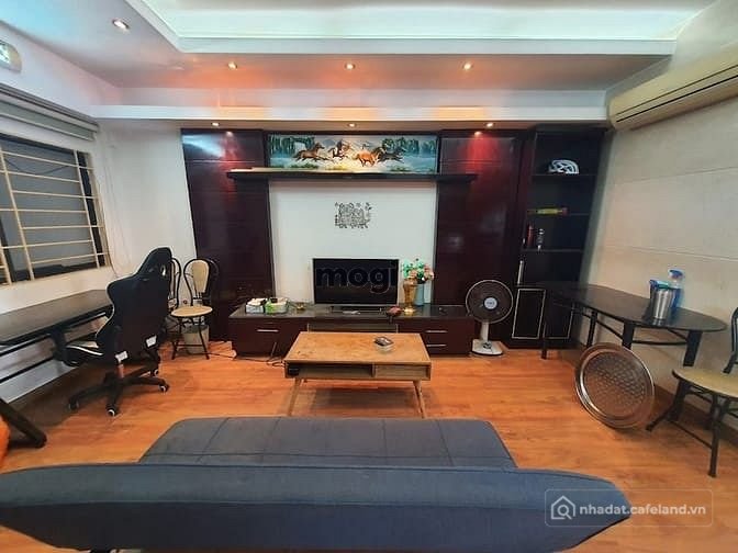 Bất động sản tại TP. Hồ Chí Minh - ảnh 1