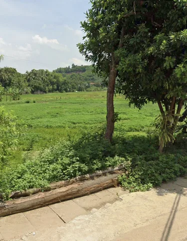 Bất động sản tại Thanh Hóa - ảnh 1