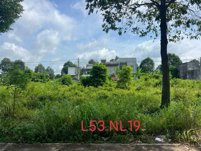 Bất động sản tại Bình Dương - ảnh 1