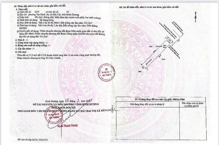 Bất động sản tại Bình Dương - ảnh 1