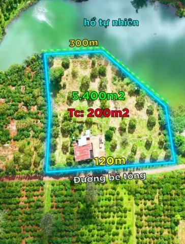 Bất động sản tại Đắk Lắk - ảnh 1