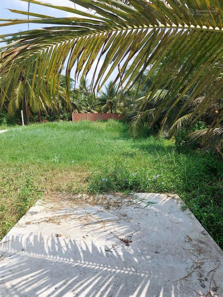 Bất động sản tại Tiền Giang - ảnh 1