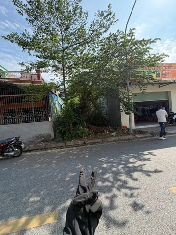 Bất động sản tại Hải Phòng - ảnh 1