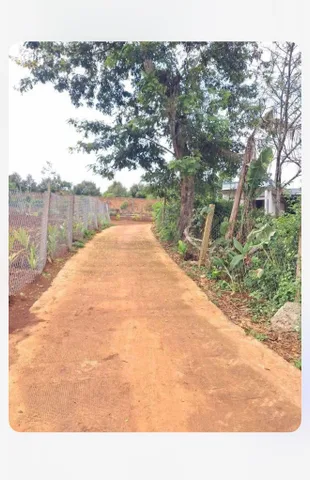 Bất động sản tại Đắk Lắk - ảnh 1