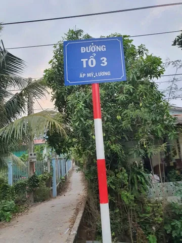 Bất động sản tại Đồng Tháp - ảnh 1
