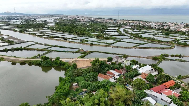 Bất động sản tại Quảng Ngãi - ảnh 1