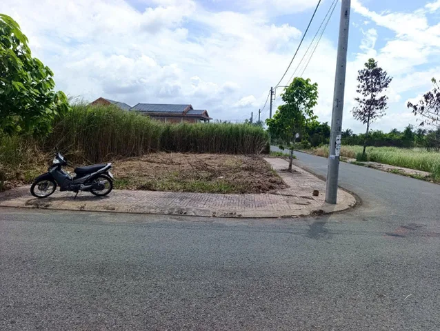 Bất động sản tại Long An - ảnh 1
