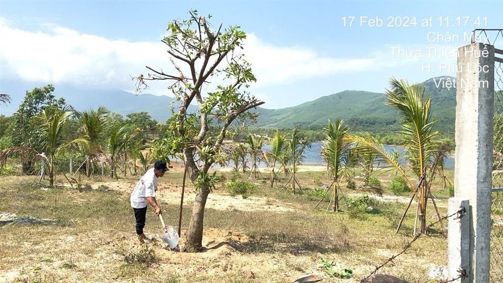 Bất động sản tại Thừa Thiên Huế - ảnh 1