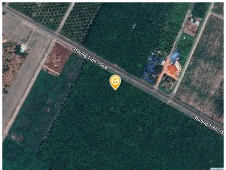 Bất động sản tại Bình Phước - ảnh 1