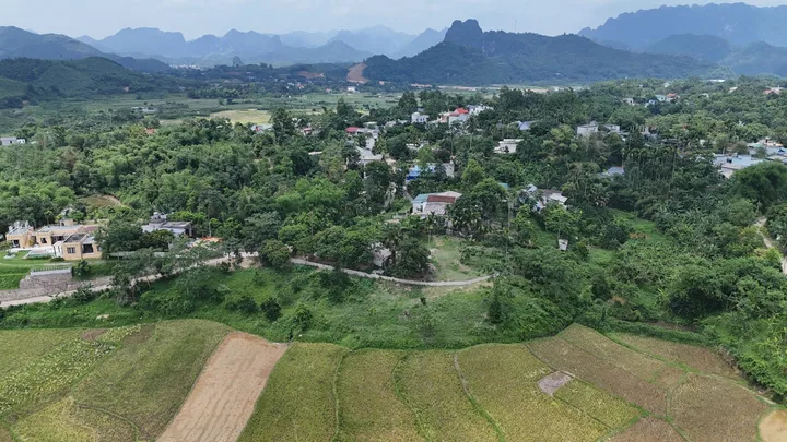 Bất động sản tại Phú Thọ - ảnh 1