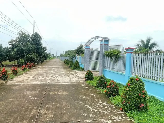 Bất động sản tại Bình Dương - ảnh 1