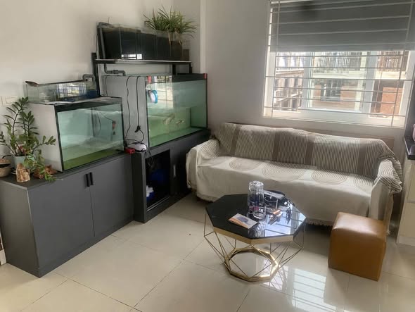 Bất động sản tại Thừa Thiên Huế - ảnh 1