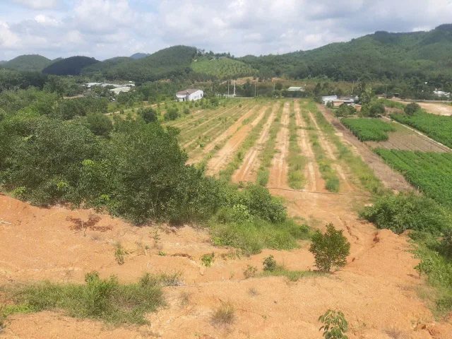 Bất động sản tại Lâm Đồng - ảnh 1