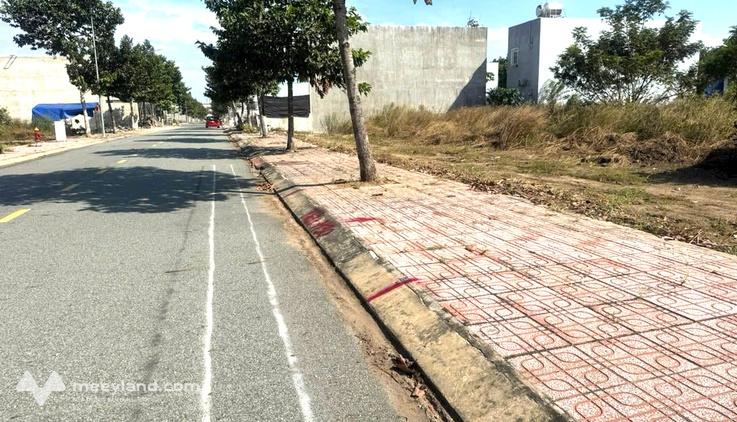 Bất động sản tại Bình Dương - ảnh 1