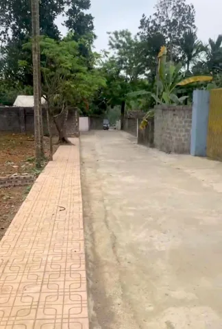 Bất động sản tại Phú Thọ - ảnh 1