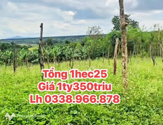 Bất động sản tại Gia Lai - ảnh 1