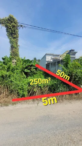 Bất động sản tại Long An - ảnh 1