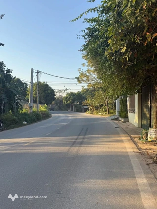 Bất động sản tại Phú Thọ - ảnh 1