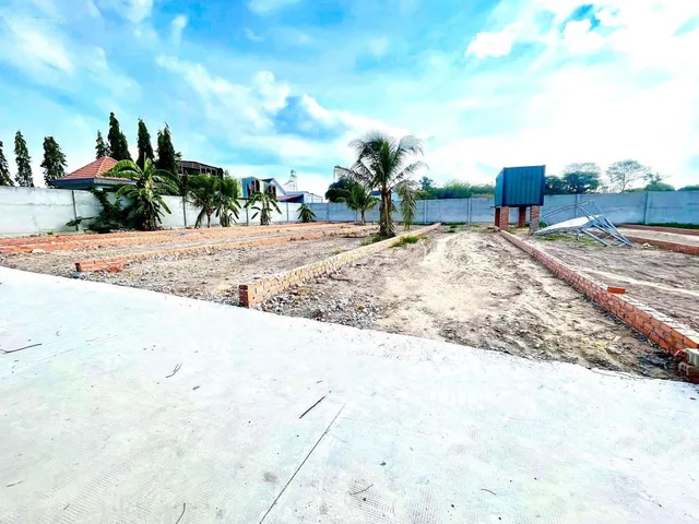Bất động sản tại Bình Dương - ảnh 1