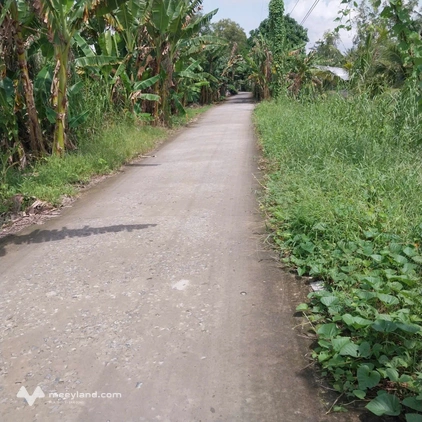 Bất động sản tại Cần Thơ - ảnh 1