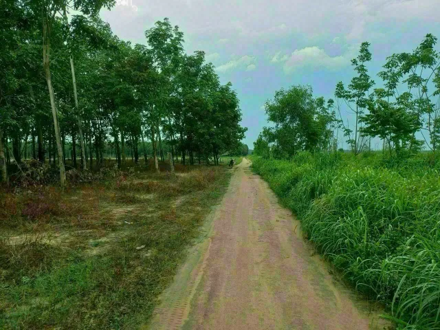 Bất động sản tại Bình Dương - ảnh 1