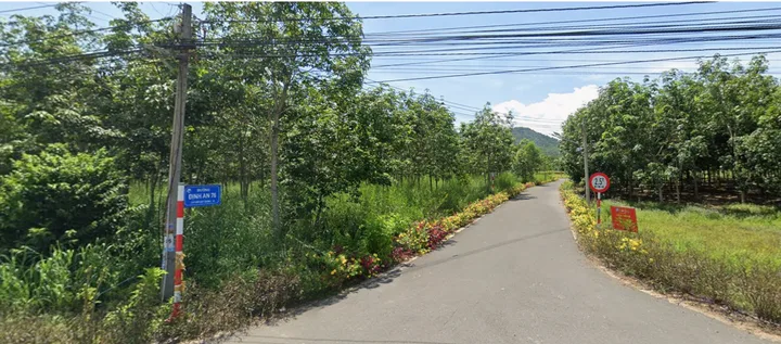 Bất động sản tại Bình Dương - ảnh 1