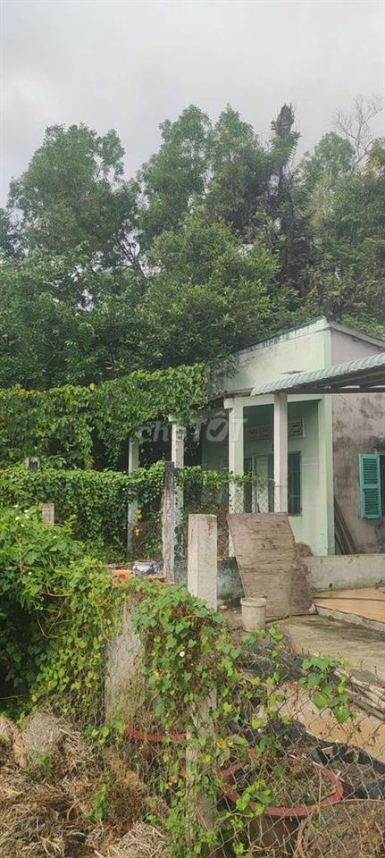 Bất động sản tại Long An - ảnh 1