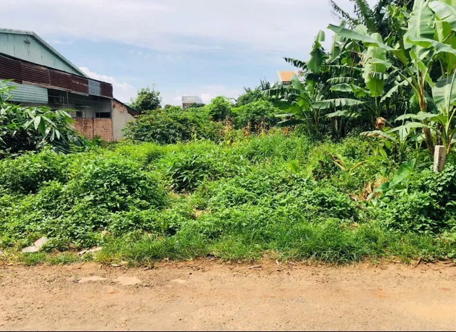Bất động sản tại Gia Lai - ảnh 1