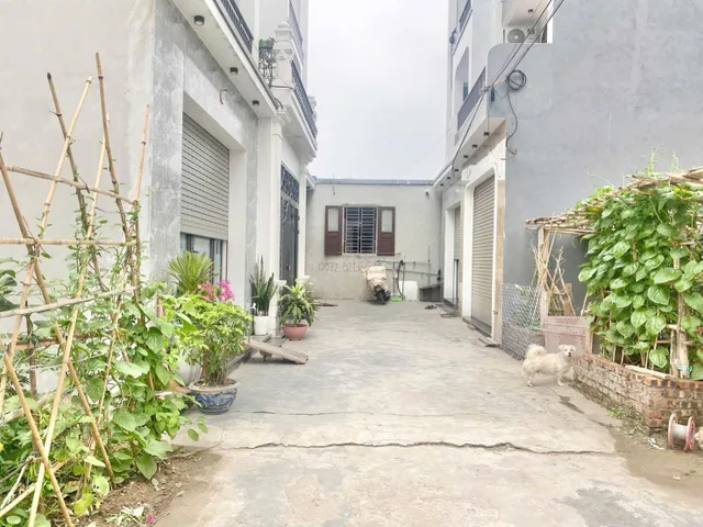 Bất động sản tại Hải Phòng - ảnh 1