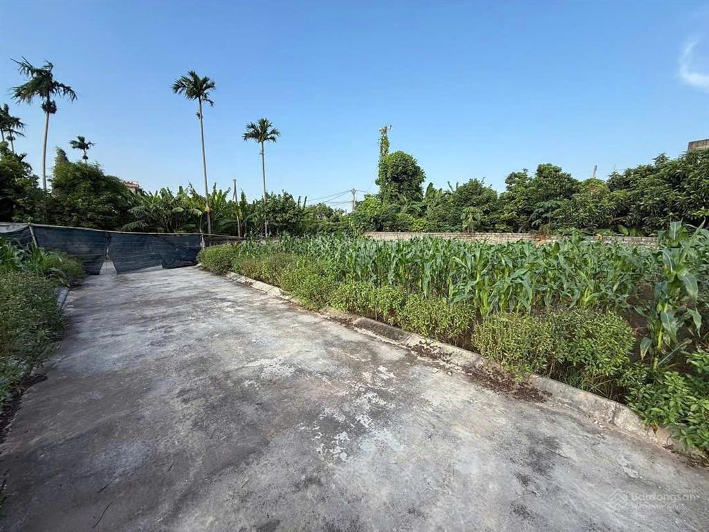 Bất động sản tại Hà Nam - ảnh 1