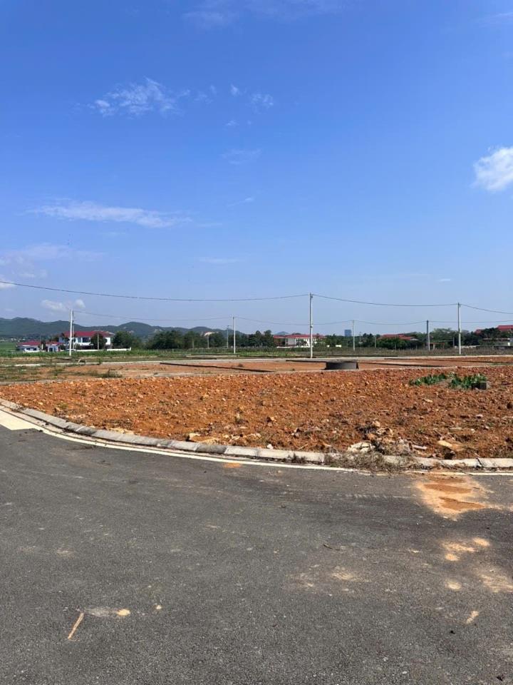 Bất động sản tại Phú Thọ - ảnh 1