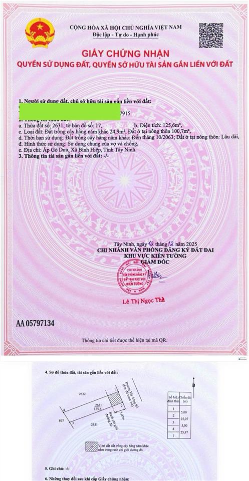 Bất động sản tại Long An - ảnh 1