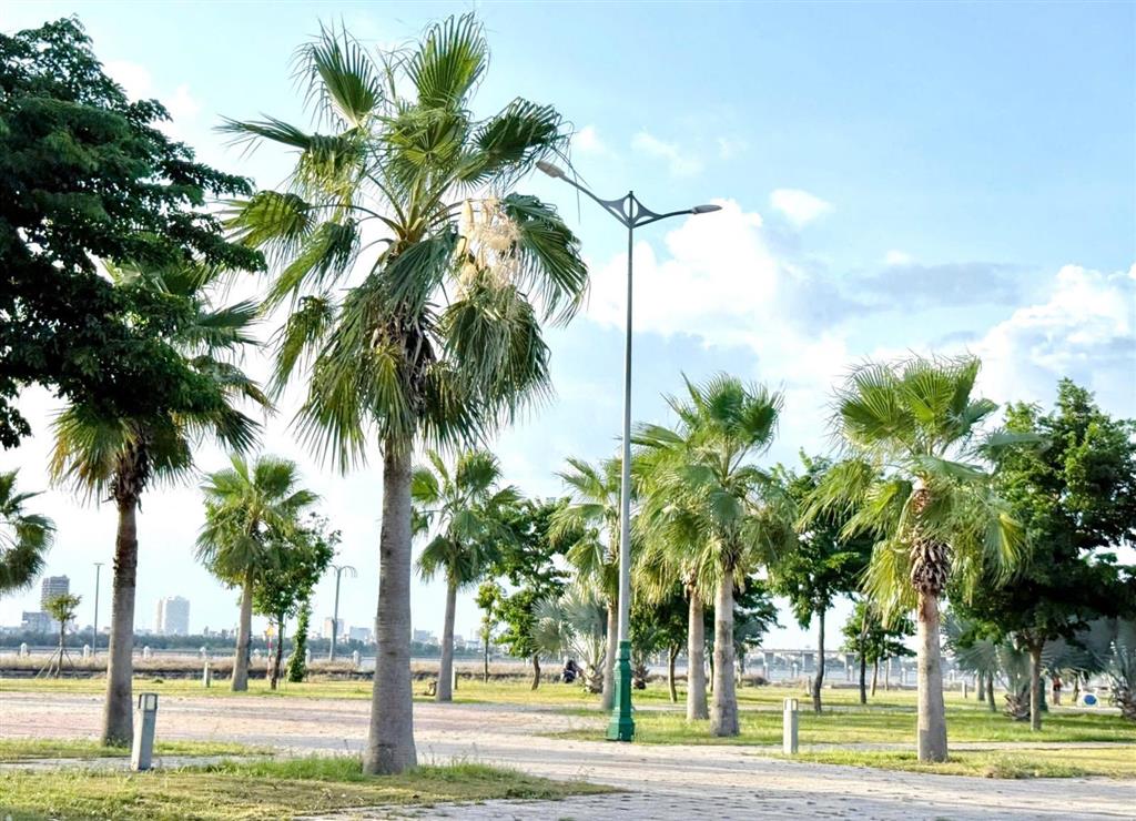 Bất động sản tại Phú Yên - ảnh 1