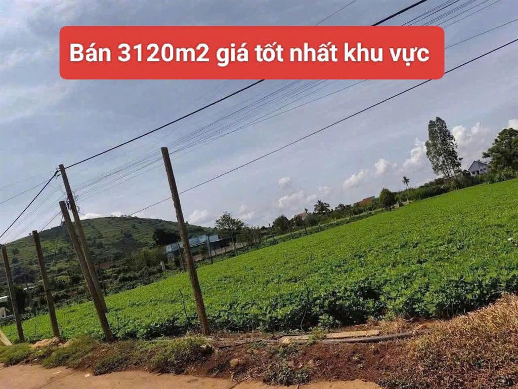 Bất động sản tại Lâm Đồng - ảnh 1