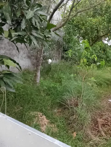 Bất động sản tại An Giang - ảnh 1