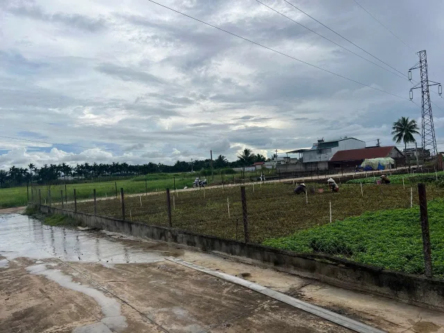 Bất động sản tại Đắk Lắk - ảnh 1