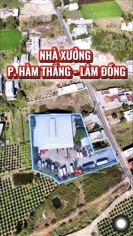 Bất động sản tại Lâm Đồng - ảnh 1