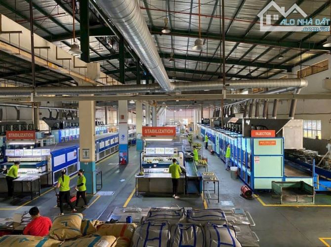 Bất động sản tại Bình Dương - ảnh 1