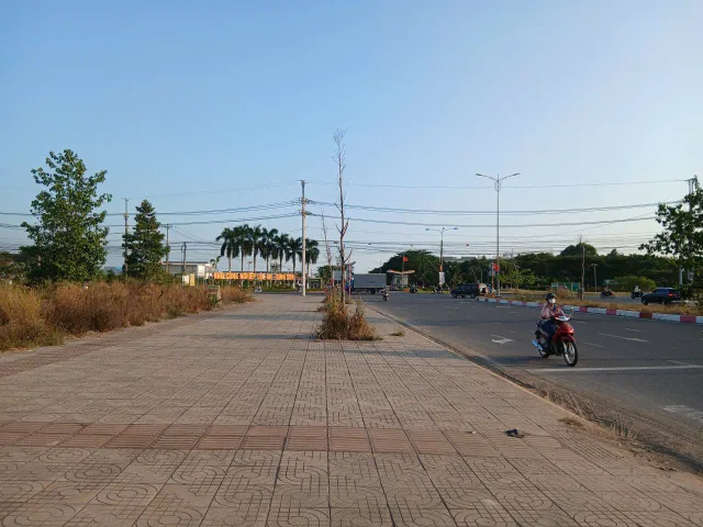 Bất động sản tại Đồng Nai - ảnh 1