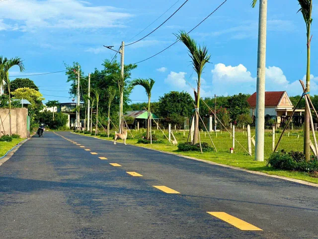 Bất động sản tại Bình Dương - ảnh 1