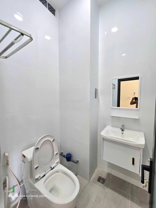 Bất động sản tại TP. Hồ Chí Minh - ảnh 1