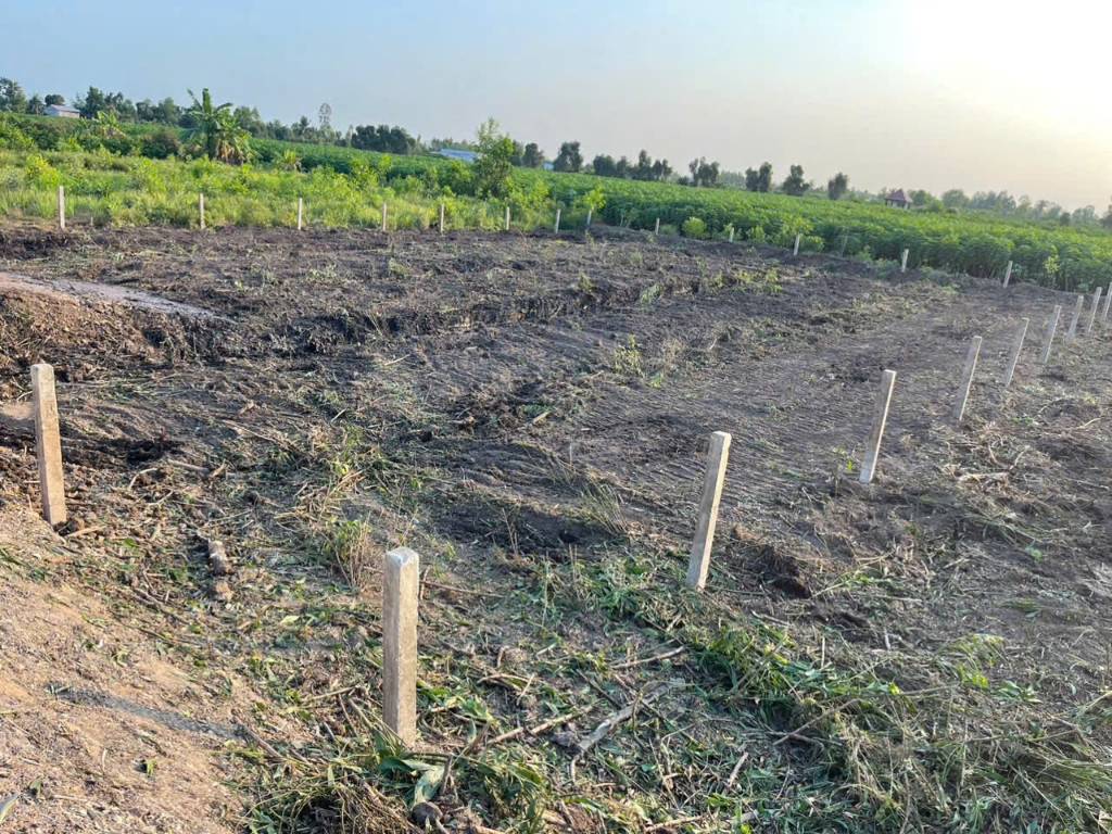 Bất động sản tại Long An - ảnh 1