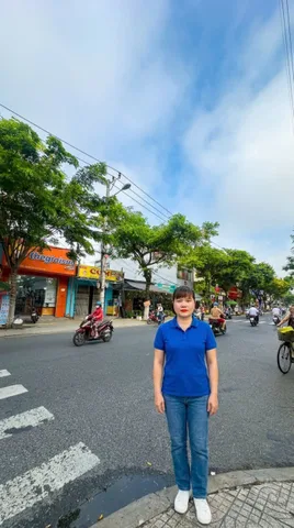 Bất động sản tại Đà Nẵng - ảnh 1
