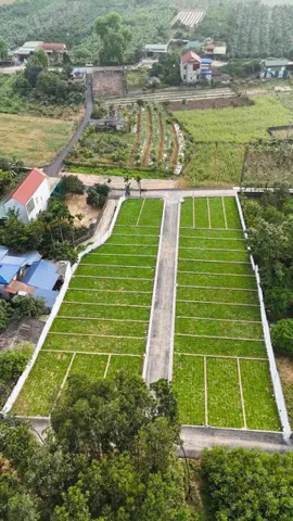 Bất động sản tại Hòa Bình - ảnh 1