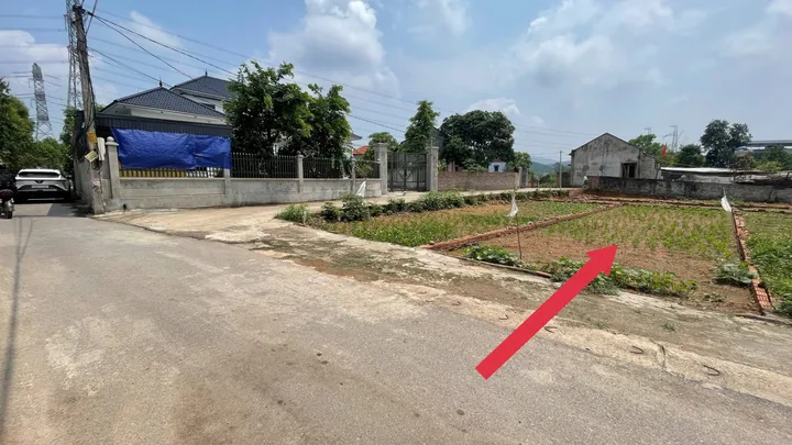 Bất động sản tại Phú Thọ - ảnh 1