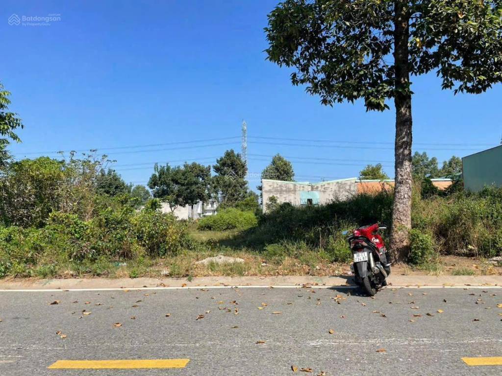 Bất động sản tại Bình Dương - ảnh 1